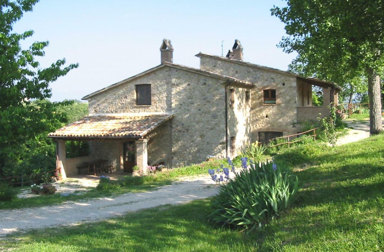 Agriturismo Frallarenza Ficulle Extérieur photo