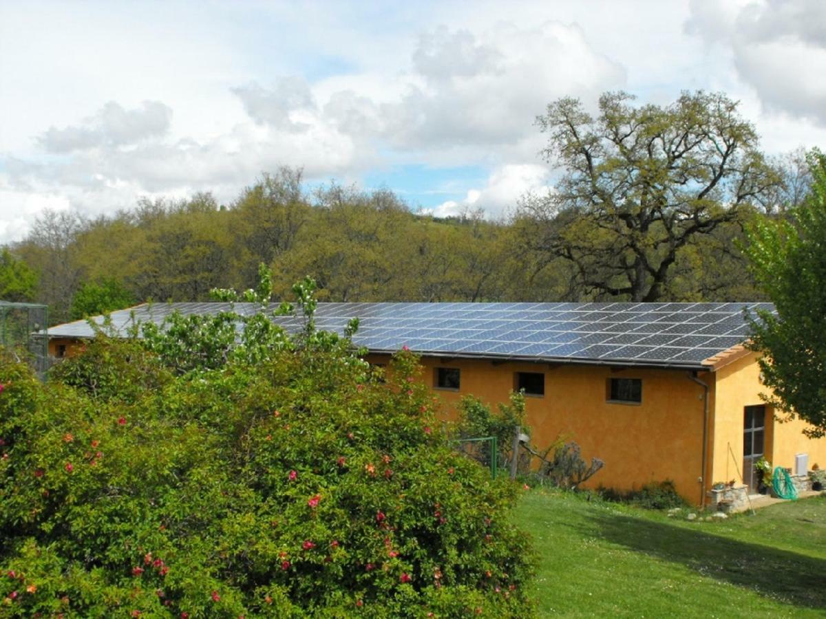 Agriturismo Frallarenza Ficulle Extérieur photo