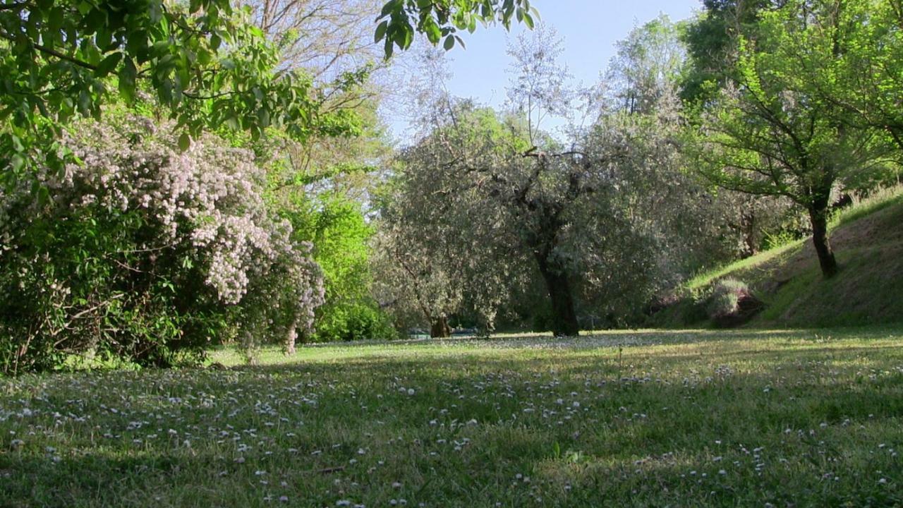 Agriturismo Frallarenza Ficulle Extérieur photo